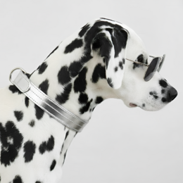  Silver vegan leather dog collar, adjustable sizes, minimalist buckle design, pet accessory