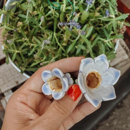 Campanilla + palo