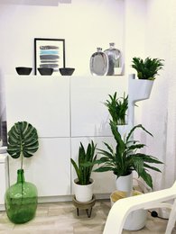 Zelfbewegende Verticale Plantenbak 3 potten