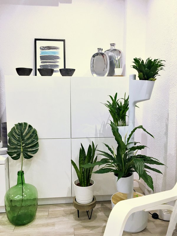 Zelfbewegende Verticale Plantenbak 3 potten