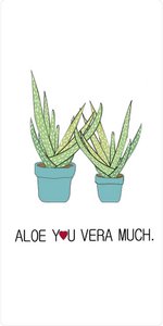 Metal magnet Aloe you vera much 10x5 cm