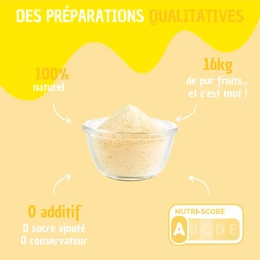 BULK Yellow – 100 % reine Fruchtzubereitung zur Rehydrierung