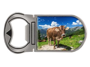 Metalen magneetcapsule liftkoe op ALM 9x4cm