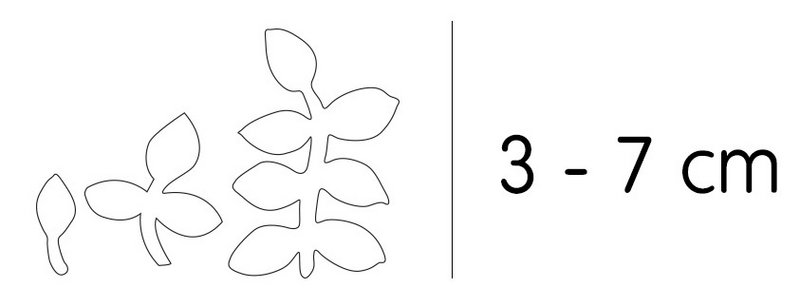 Foglie dell'acquerello