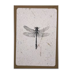 Dragonfly cards with variants in sizes M (A6), S (A7), and L (A5). The image shows a framed dragonfly illustration and a vase with dried flowers.

The product is a set of cards featuring a dragonfly illustration. The cards come in three sizes: M (A6), S (A7), and L (A5). The image shows a framed dragonfly illustration and a vase with dried flowers, which could be used as a decorative element alongside the cards.