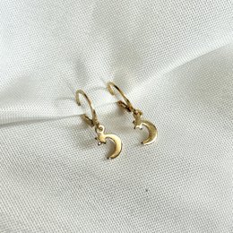 Gold-toned hoop earrings with a crescent moon and star charm.