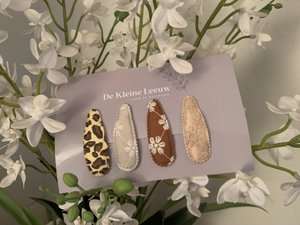 Setje 2 haarspeldjes