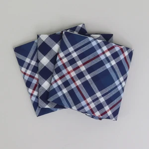 Blue/White Check Handkerchiefs