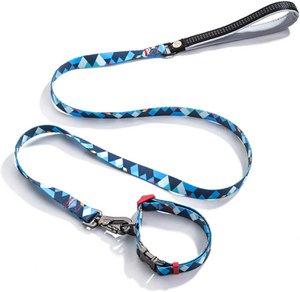 Hondenriem Veelkleurig - 0202-4