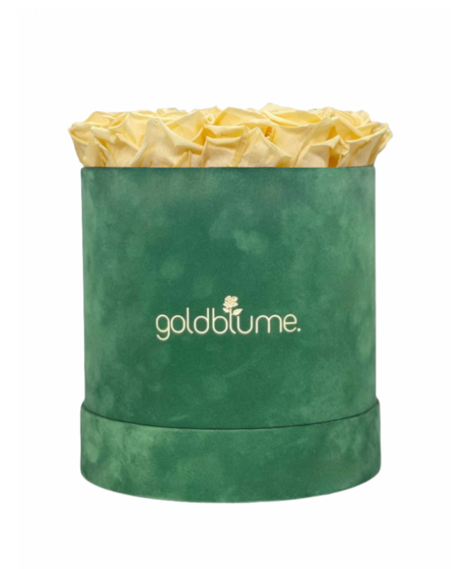 Colección Terciopelo Verde