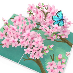 Cherry blossom branch pop-up card