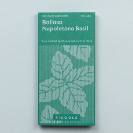 Green leafy basil plant with large, broad leaves. Ideal for culinary use in Italian and Mediterranean dishes.