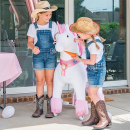 PonyCycle Spielzeugzubehör Futter- und Pflegeset – Pink und Blau, 5-teiliges Sortiment, Fellpflegebürste, Haustierbürste, Karotte, Aufkleber, Namensschild