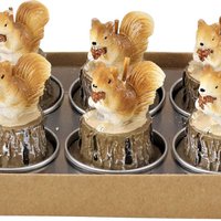 THEELICHTJES EEKHOORN SET VAN 6 (HOFF3125)