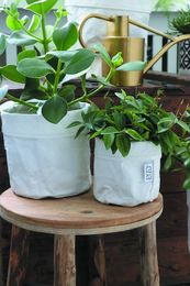 White washable paper bag with biodegradable waterproof liner, available in various sizes. Made of durable, eco-friendly materials.