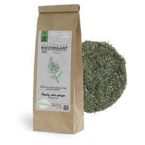 Biostimulanzien für den Garten - Schachtelhalm