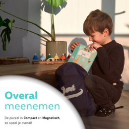Fesio Tangram puslespil bog