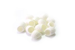 Exfoliating silk cocoons