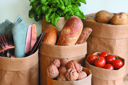 Washable paper bags in natural color with waterproof biodegradable liner. Available in various sizes for storing and transporting produce, groceries, and other items.