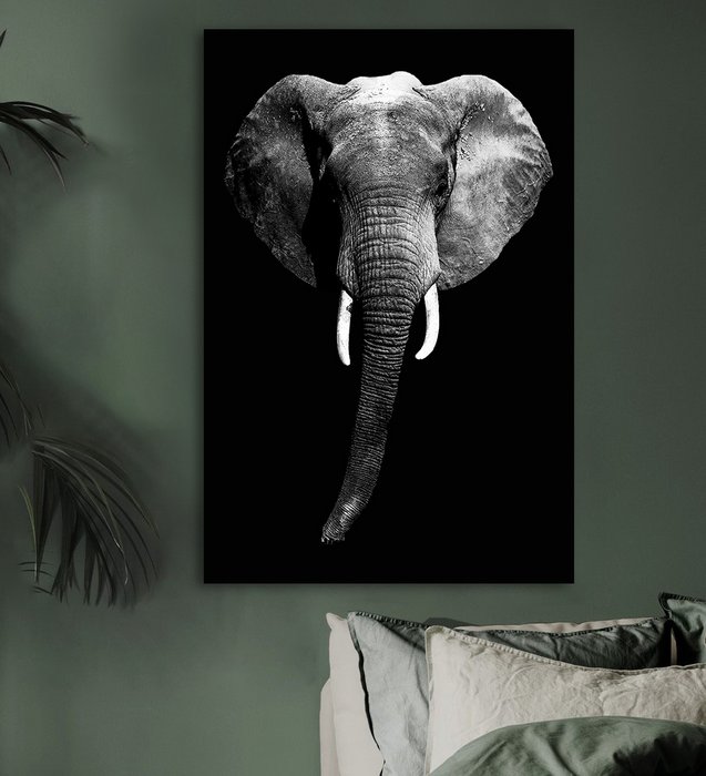Dark Elephant