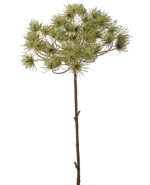  Artificial flower bear claw, 100 cm tall, made of green and white pine needles, with a sturdy brown stem.
