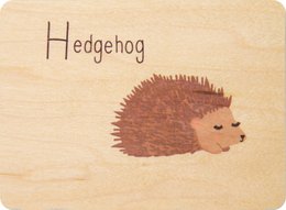 Wooden cards with a hedgehog illustration and the word "Hedgehog" written on them. The cards appear to be part of a children's educational or alphabet set.