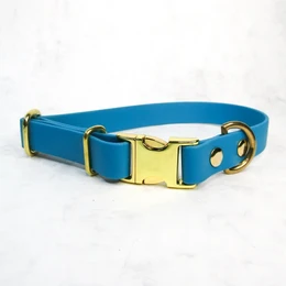 Plain Jane dog collar