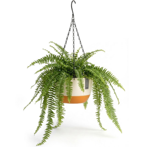 Hängetopf mit Drainage - Weiß Creme - Auch als Blumentopf geeignet - Für drinnen und draußen - Wasserreservoir