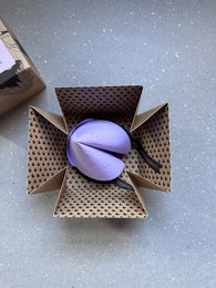 A purple fortune cookie-shaped item in a decorative box with the text "Grow your Fortune Cookie" on the box.