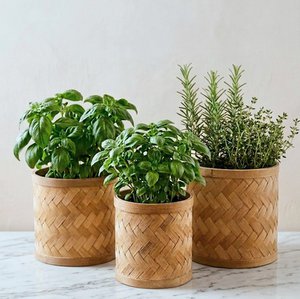 Potje Bamboe; Set van 3 verschillende maten