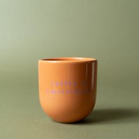 Sisi cup, Coffee in Amsterdam