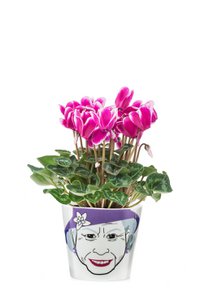 Flower Power | Queen small