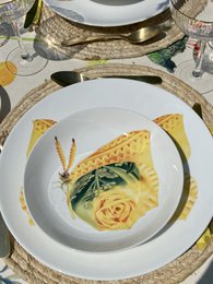 La dolce vita di una farfalla - Piatti Fondi