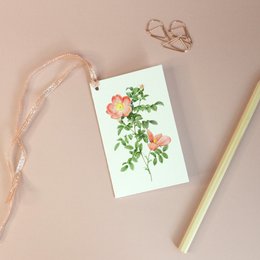 Geschenkanhänger Mix x8 Pack - Botanical Vintage