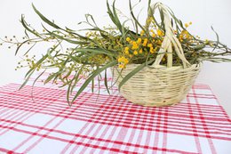 Large 150/200cm Traditional Portuguese Square Tablecloth