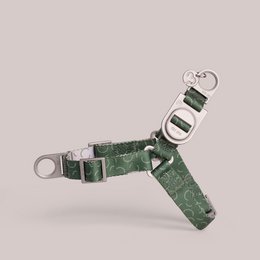  Green patterned dog harness with metal buckles, adjustable straps, durable fabric construction for small to large dogs.