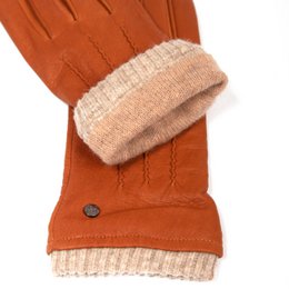 Harry - Un cerf pour toutes les occasions