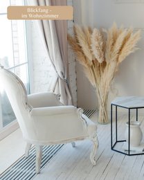Pampas græs stor beige 120 cm