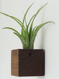 Cubo - Roble Oscuro