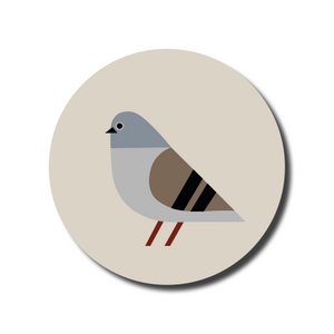 Wall circle · Pigeon