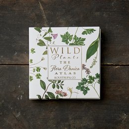 Square card folder with illustrations of wild plants and flowers.