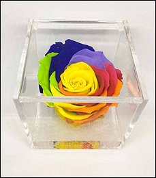 Multicolored rose cube in a glass display, made in Italy. Decorative bowl item.