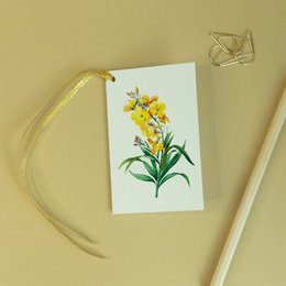 Geschenkanhänger Mix x8 Pack - Botanical Vintage