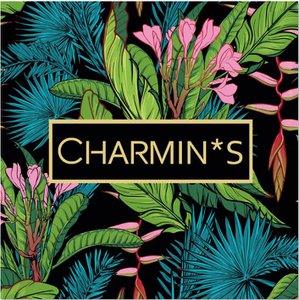 5535 Charmins Verpackung