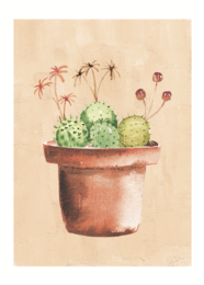 Beige background postcard with a terracotta pot containing green cactus plants and small pink flowers.