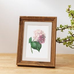 Botaniczny Art Print Mix x16 | Vintage ilustracja kwiat | Dekoracje ścienne