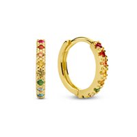 New Bling 9NBG-0652 Gouden Oorbellen met Zirkonia -  12mm Doorsnee - 1,8mm Breed - Gekleurde Zirkonia - Oorringen - 14 Karaat - Goud