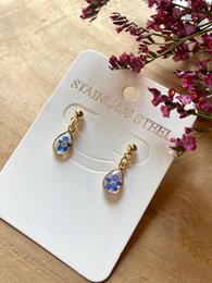 Gold drop earrings with real forget-me-not flowers encased in resin and stainless steel settings.