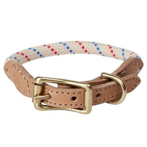 Perry hondenhalsband - Medium