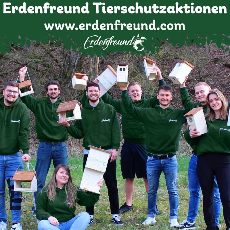 ERDENFREUND® Wildbienenhotel mit Schmetterlingshaus